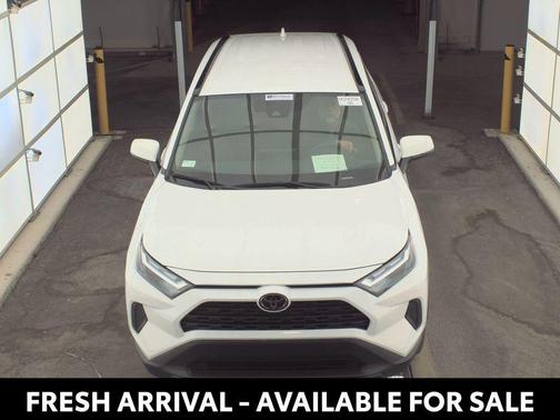Ice Cap 2025 Toyota RAV4 XLE