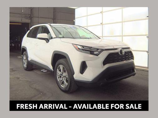 Ice Cap 2025 Toyota RAV4 XLE