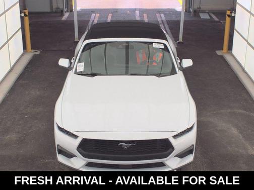 Oxford White 2025 Ford Mustang EcoBoost Premium