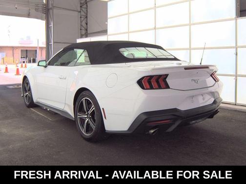 Oxford White 2025 Ford Mustang EcoBoost Premium