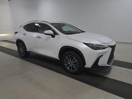 2024 Lexus NX 250 Base