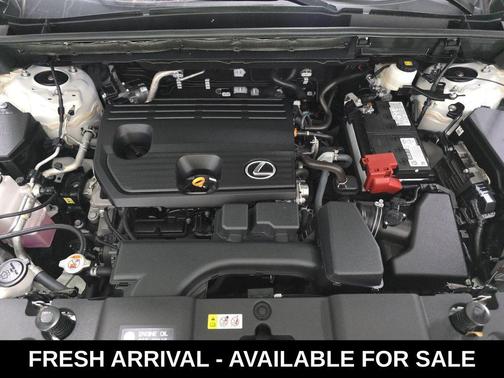 2024 Lexus NX 250 Base