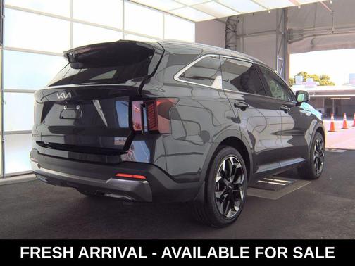 Panthera Metal 2025 Kia Sorento SX