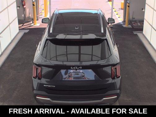 Panthera Metal 2025 Kia Sorento SX