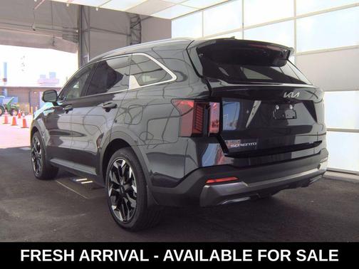 Panthera Metal 2025 Kia Sorento SX