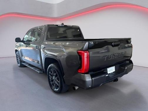 2022 Toyota Tundra Platinum