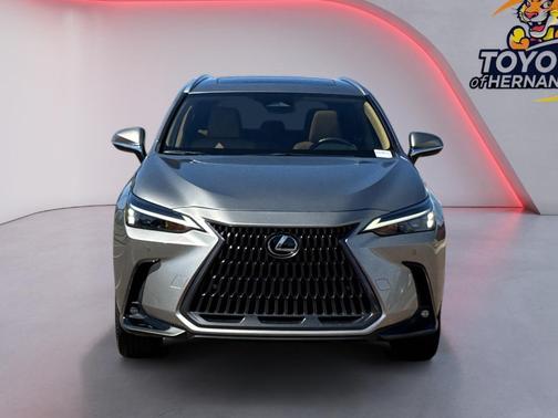Atomic Silver 2025 Lexus NX 350 Premium