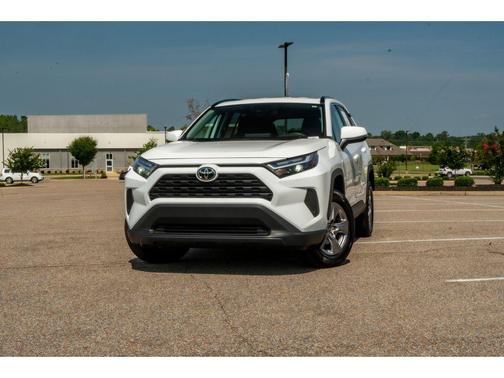 Ice Cap 2025 Toyota RAV4 XLE