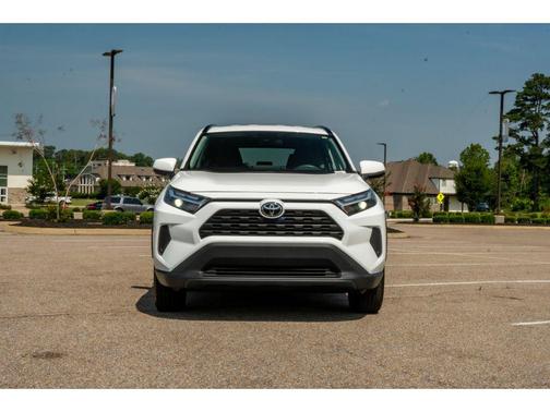 Ice Cap 2025 Toyota RAV4 XLE