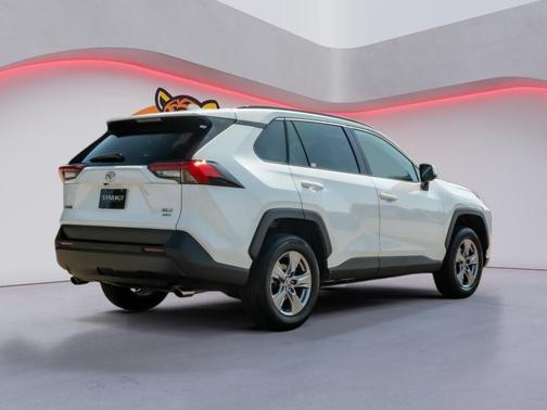 Ice Cap 2025 Toyota RAV4 XLE