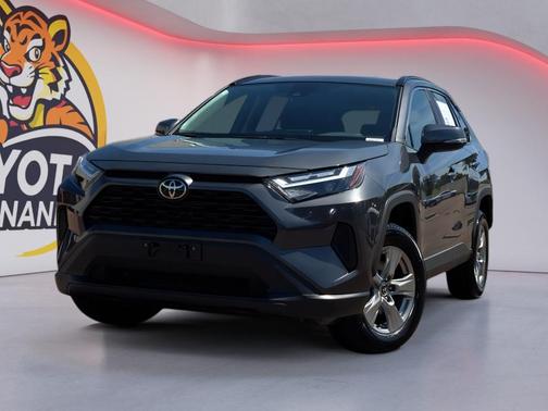 Magnetic Gray Metallic 2025 Toyota RAV4 XLE