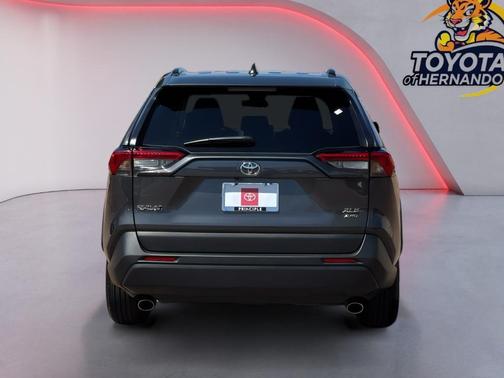 Magnetic Gray Metallic 2025 Toyota RAV4 XLE