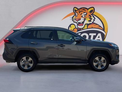 Magnetic Gray Metallic 2025 Toyota RAV4 XLE