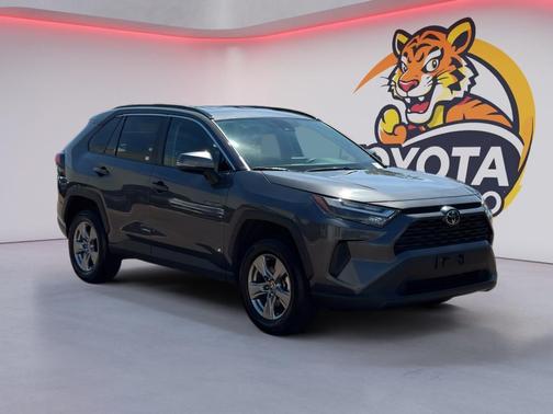 Magnetic Gray Metallic 2025 Toyota RAV4 XLE