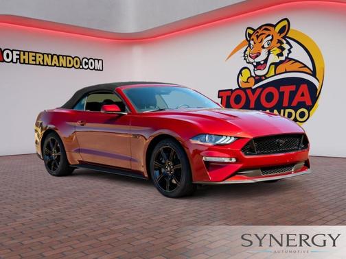 Ruby Red Metallic Tinted Clearcoat 2019 Ford Mustang GT Premium