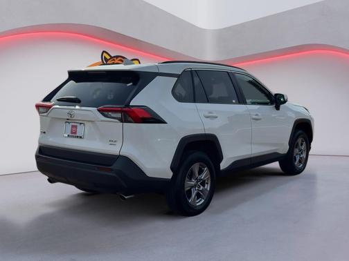 Ice Cap 2025 Toyota RAV4 XLE