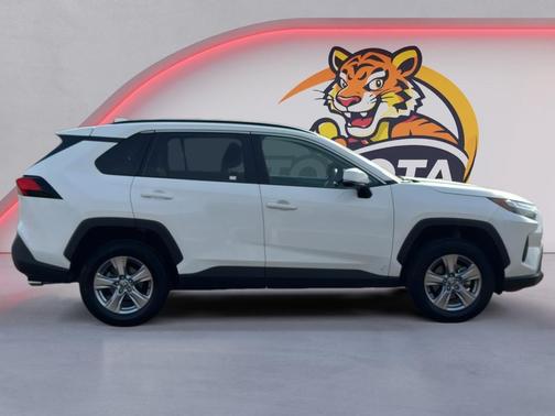 Ice Cap 2025 Toyota RAV4 XLE