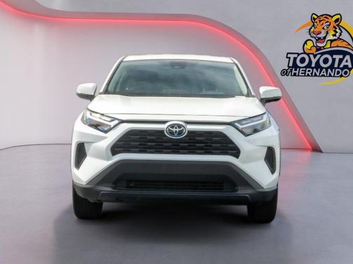 Ice Cap 2023 Toyota RAV4 LE