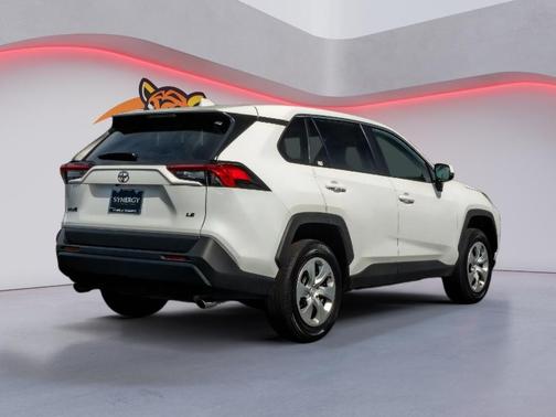 Ice Cap 2023 Toyota RAV4 LE