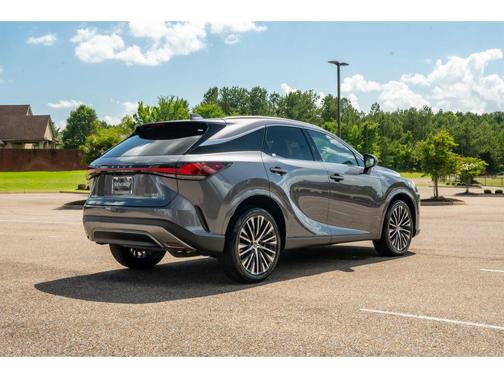 Nebula Gray Pearl 2023 Lexus RX 350 Premium Plus
