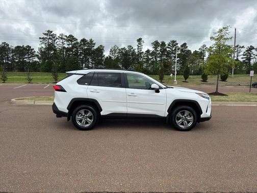 Ice Cap 2025 Toyota RAV4 XLE