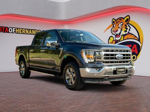 Smoked Quartz Metallic Tinted Clearcoat 2021 Ford F-150 Lariat