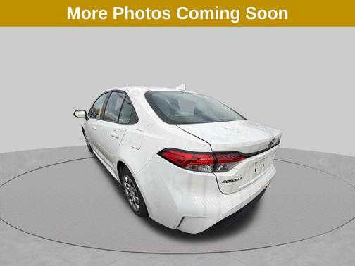 Ice Cap 2024 Toyota Corolla LE