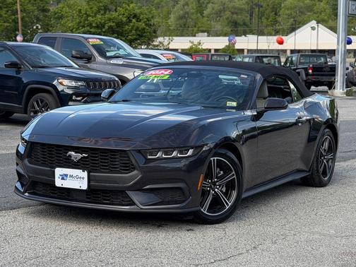 Gray Metallic 2024 Ford Mustang EcoBoost Premium