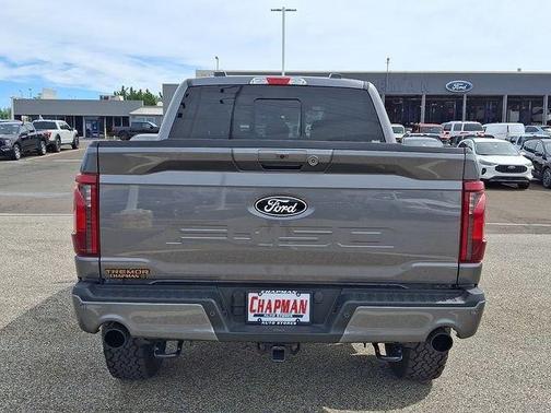 Gray Metallic 2025 Ford F-150 Tremor