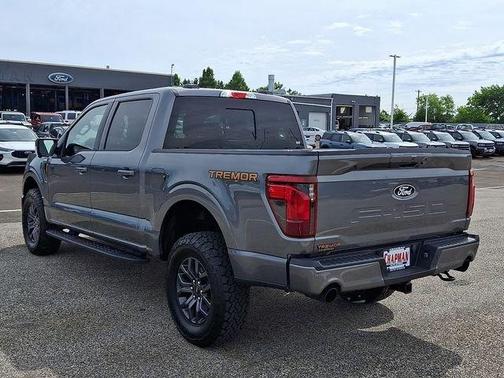 Gray Metallic 2025 Ford F-150 Tremor