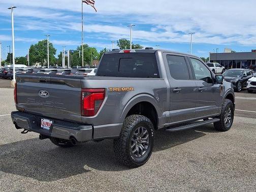 Gray Metallic 2025 Ford F-150 Tremor