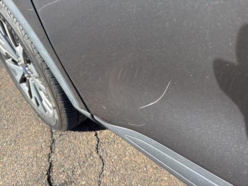 Magnetic 2020 Ford Escape Titanium