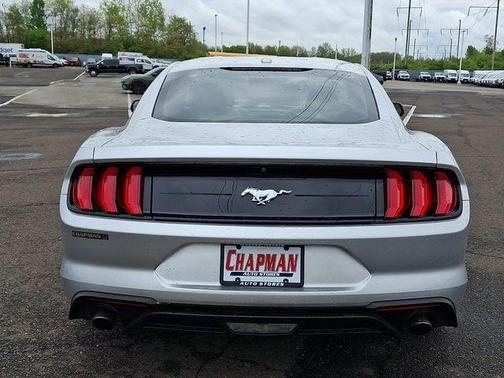 Ingot Silver 2019 Ford Mustang EcoBoost