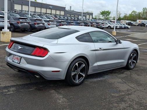 Ingot Silver 2019 Ford Mustang EcoBoost