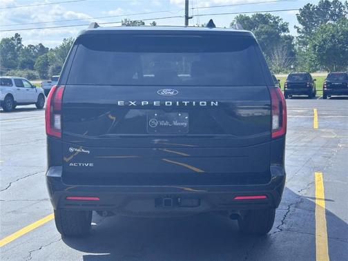 Agate Black 2025 Ford Expedition Active