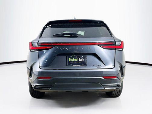 Cloudburst Gray 2024 Lexus NX 350 Premium