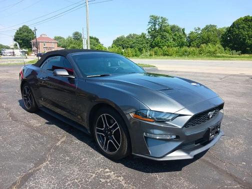 Magnetic Metallic 2019 Ford Mustang EcoBoost
