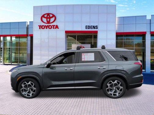 Rainforest 2022 Hyundai PALISADE Calligraphy