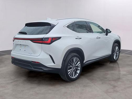 Eminent White Pearl 2024 Lexus NX 350 Luxury