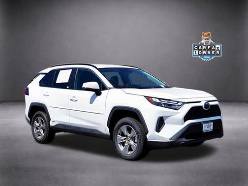 Ice 2024 Toyota RAV4 Hybrid LE