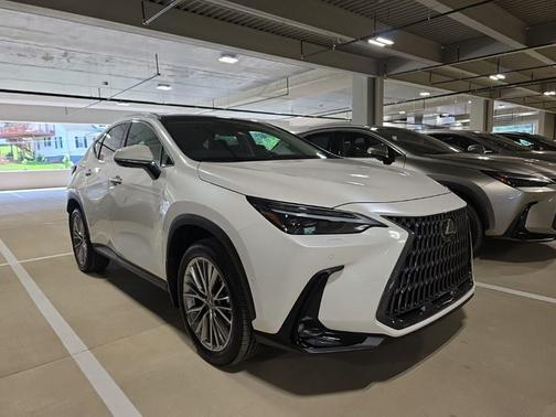 2025 Lexus NX 350 Luxury