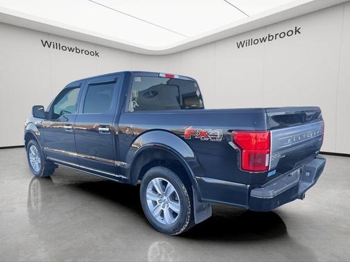 Black Metallic 2019 Ford F-150 Platinum