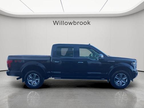 Black Metallic 2019 Ford F-150 Platinum