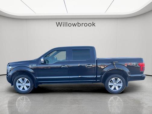 Black Metallic 2019 Ford F-150 Platinum