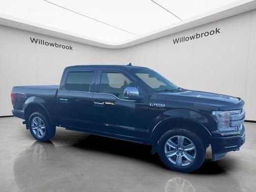 Black Metallic 2019 Ford F-150 Platinum