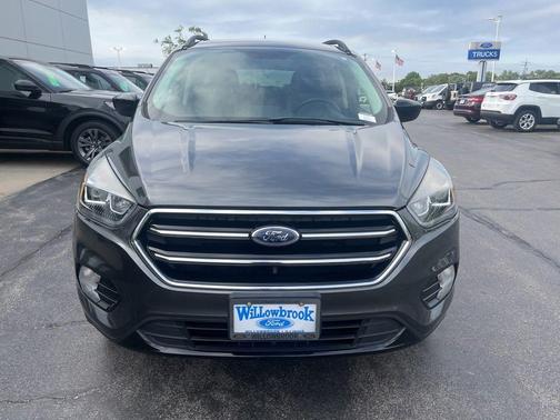 Magnetic 2019 Ford Escape SE