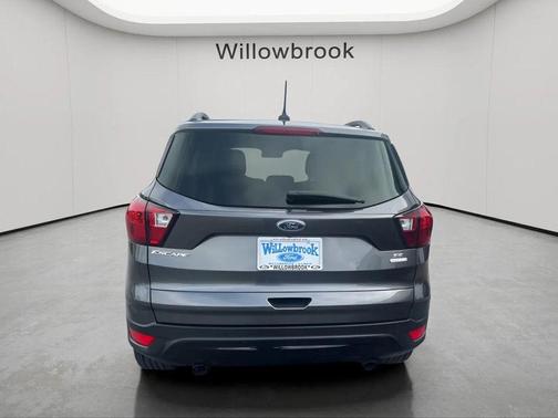 Magnetic 2019 Ford Escape SE