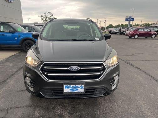 Magnetic 2019 Ford Escape SE