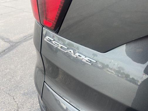 Magnetic 2019 Ford Escape SE