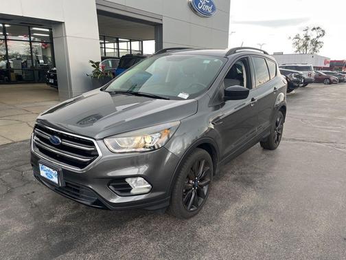 Magnetic 2019 Ford Escape SE